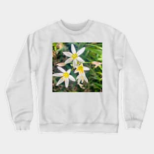 Wilde flower Crewneck Sweatshirt